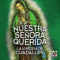 Různí interpreti – Nuestra Senora Querida La Virgen De Guadalupe