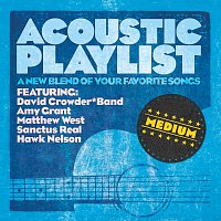 Různí interpreti – Acoustic Playlist: Medium - A New Blend Of Your Favorite Songs
