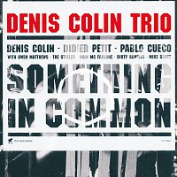 Denis Colin – Something In Common
