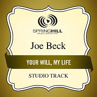 Joe Beck – Your Will, My Life