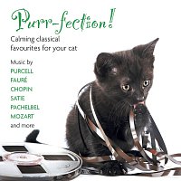 Přední strana obalu CD Purr-fection! Calming Classical Favourites For Your Cat