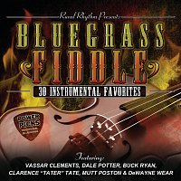 Různí interpreti – Bluegrass Fiddle Power Picks: 30 Instrumental Favorites