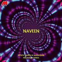 Naveen N. Namboodiri – Naveen