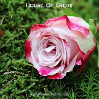 Natural Solution From The Sewer – House of Croke