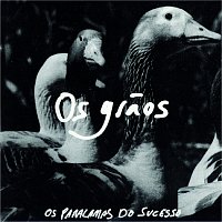 Os Paralamas Do Sucesso – Os Graos