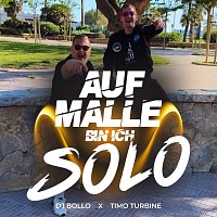 DJ Bollo, Timo Turbine – Auf Malle bin ich solo