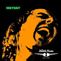 The Double Vision – Mayday