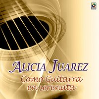 Alicia Juárez – Como Guitarra En Serenata