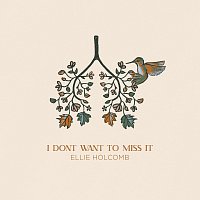Ellie Holcomb – I Don't Want To Miss It