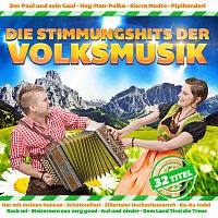 Přední strana obalu CD Die Stimmungshits der Volksmusik