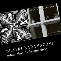 Přední strana obalu CD Oslava ohně / V ktrajině únor