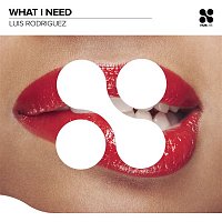 Luis Rodriguez – What I Need