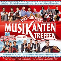 Přední strana obalu CD Das große Musikantentreffen - Folge 42