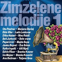 Různí interpreti – Zimzelene melodije 1