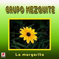 Grupo Mezquite – La Margarita