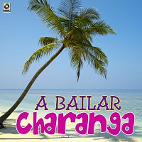 Různí interpreti – A Bailar Charanga