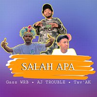 Přední strana obalu CD Salah Apa