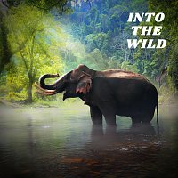 Přední strana obalu CD Into The Wild