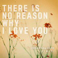 K. Flower – There Is No Reason Why I Love You