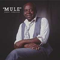 Přední strana obalu CD "Mule" (Expanded Edition)