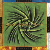 Dave Weckl Band – Synergy