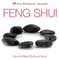 The Wellness' Sounds: Music for Mind, Body & Spirit – Feng Sui