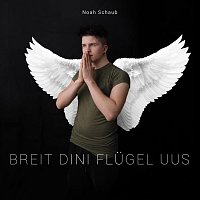 Noah Schaub – Breit dini flügel uus
