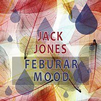 Jack Jones – Februar Mood