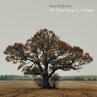 Sam Roberts – We Were Born In A Flame