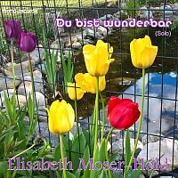 Přední strana obalu CD Du bist wunderbar 