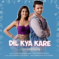 Stebin Ben, Asees Kaur, DJ Nitish Gulyani – Dil Kya Kare [Lofi Flip]