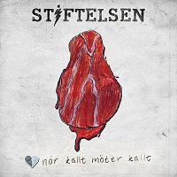 Stiftelsen – Nar kallt moter kallt