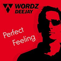 Wordz Deejay – Perfect Feeling