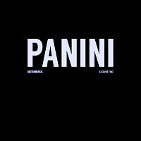 Panini