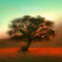 HyVeMi – Journey