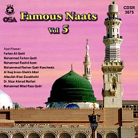 Různí interpreti – Famous Naats Vol. 5