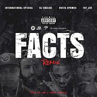 International Special – Facts Remix (feat. DJ Khaled, Busta Rhymes & Fat Joe)
