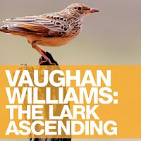 Nicola Benedetti – Vaughan Williams: The Lark Ascending