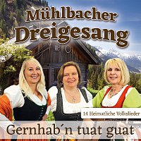 Muhlbacher Dreigesang – Gernhab´n tuat guat
