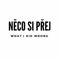 Něco si přej – What I Did Wrong