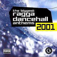 Various  Artists – The Biggest Ragga Dancehall Anthems 2001