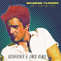 Brandon Flowers – Can't Deny My Love [Goshfather & Jinco Remix]