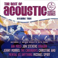 Různí interpreti – The Best Of Acoustic [Vol. 2]