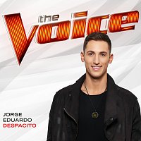 Jorge Eduardo – Despacito [The Voice Performance]