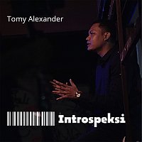 Přední strana obalu CD Introspeksi