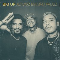 Big Up – Ao Vivo Em Sao Paulo