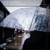 Přední strana obalu CD Top Fyp Slebew