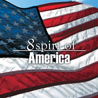 8 Best Spirit of America