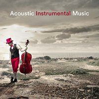 Přední strana obalu CD Acoustic Instrumental Music