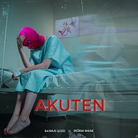 Rasmus Gozzi, FROKEN SNUSK – AKUTEN